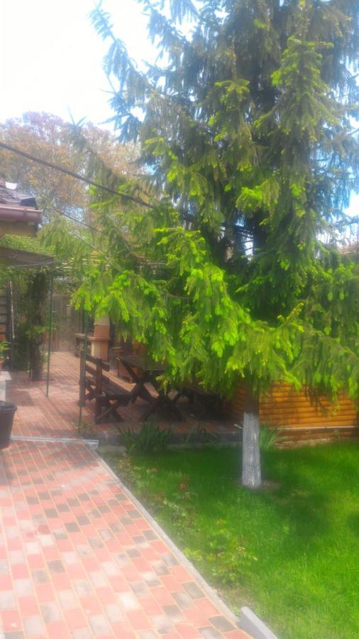 Апартаменти Casa Mola Мангалія Екстер'єр фото