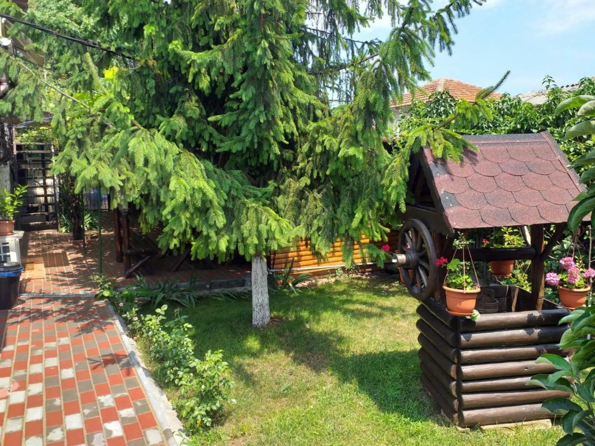 Апартаменти Casa Mola Мангалія Екстер'єр фото